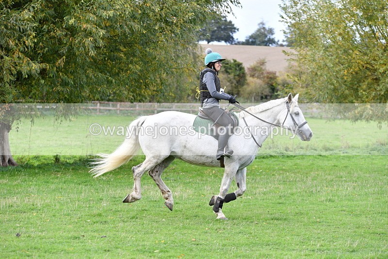 WJ5_0954 - Time 14:29 to 15:31