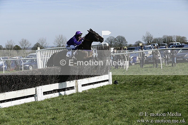 PtP 260317 58 - Mendip Farmers Point-to-Point Ston Easton 26/03/17