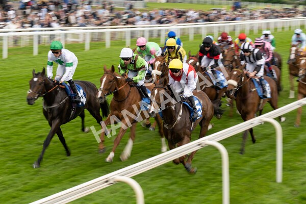 yr22052022r6-24 - Race 6: 6:05pm Sky Bet Sunday Series Stayers Stakes