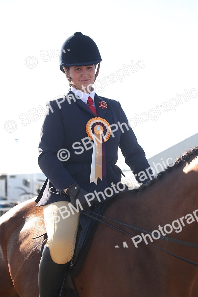 SBM_11350 - Class 501 -Riding Club Pony