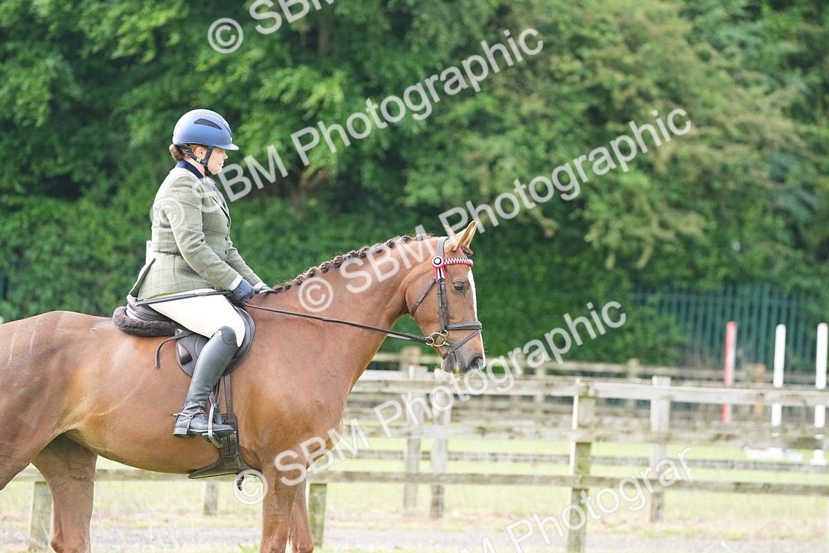 SBM_10564 - Class 97-98 - LIHS BSHA Rising Star Working Show Horse Hunter