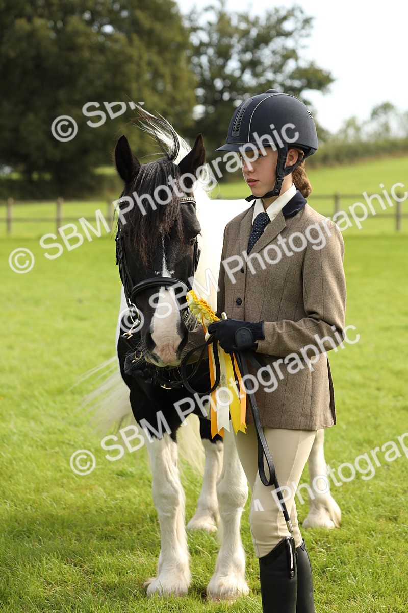 SBM_68770 - S40 - Junior Handler 9-12 Years