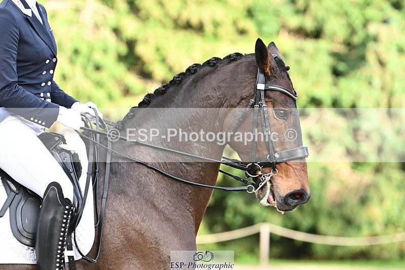 231110-152614-02182 - Cls 11 FEI PSG