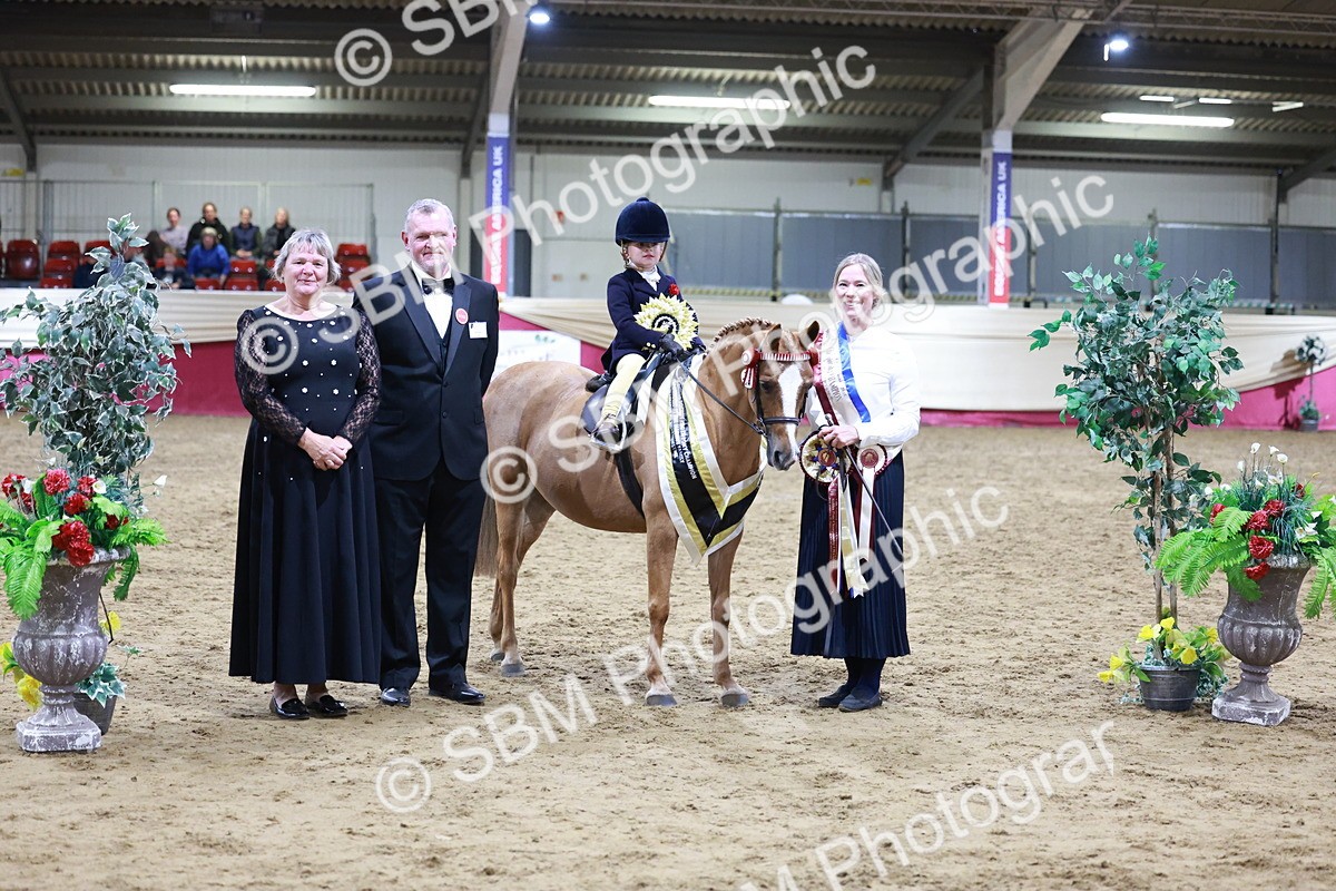 SBM_20596 - Class H - IH Competition - Riding Club champ