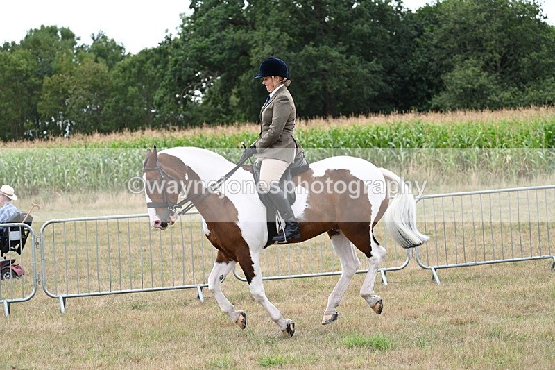 WJ7_5104 - Class 12 Ridden Cob