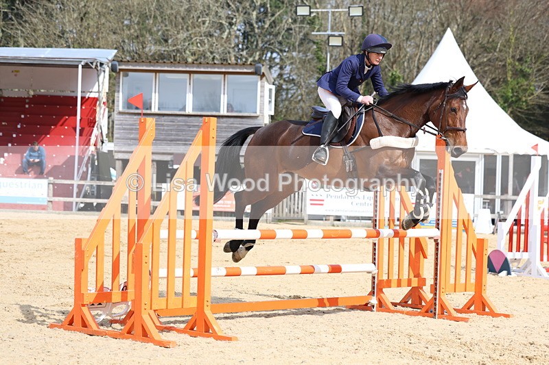 3E7A6745 - Class 4: Senior British Novice/90cm open