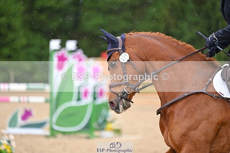 240526-144053-24688 - 219-HIT_CHAN_BOY_ALFA-Valentine_Emsens