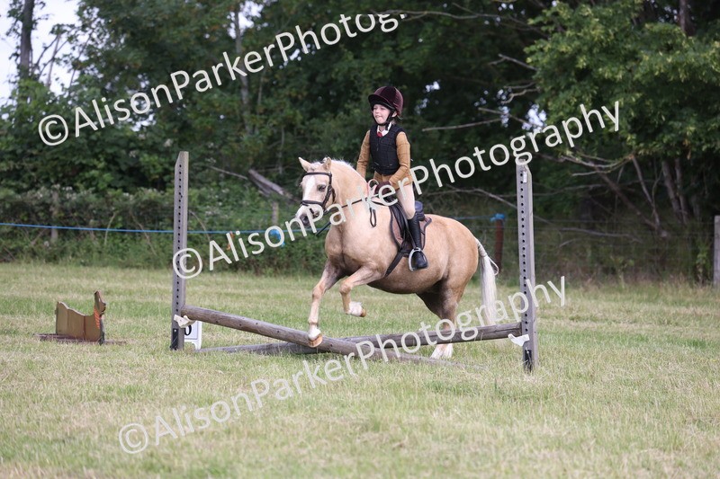 20260614-0451 - Class 20 - Beginners Working Hunter Pony