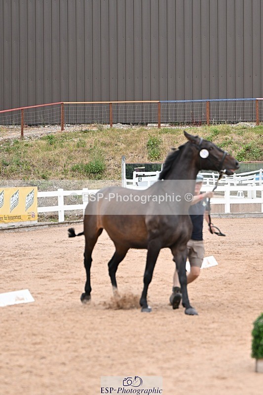 250716-141736-00998 - Trot Up 1.30 to 2.30