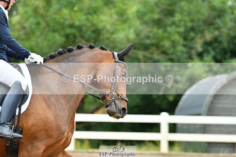 230701A-094230-04179 - Cls 6 Music Novice