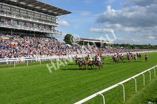 yr21052022r7-29 - Race 7: 5:15pm Reg Bond Always and Forever Stakes