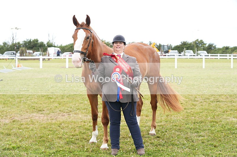 DSC06442 - Hunter/Riding Horse/Hack In Hand Championship