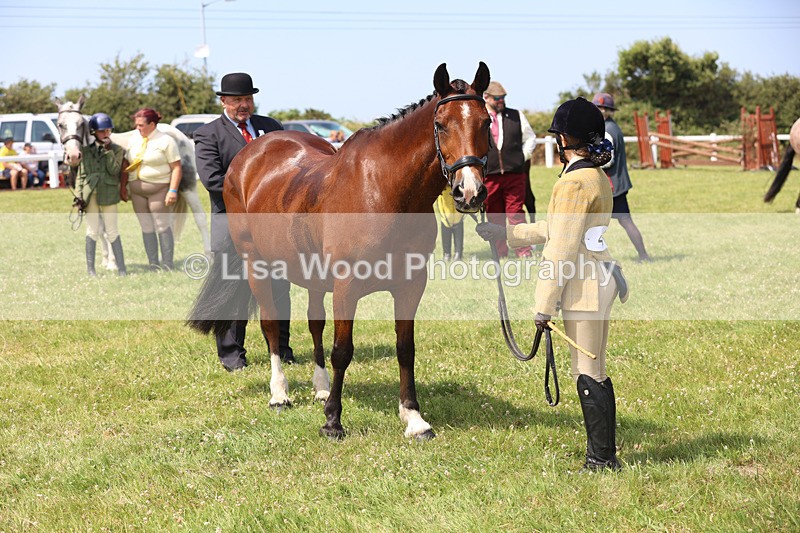 JPP_3421 - Class 22: Working Hunter 70cm