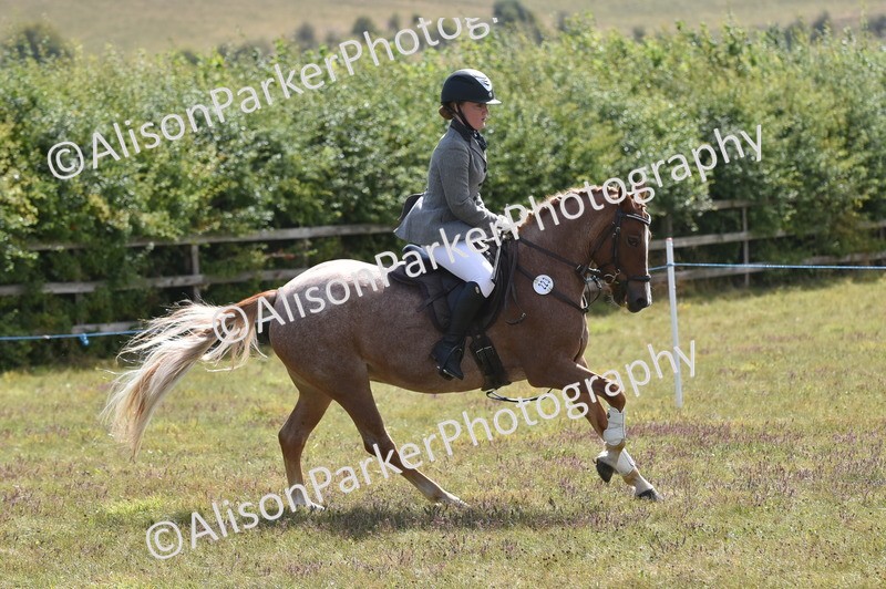 20250831-4004 - Class 12 - Working Hunter Pony 14.2hh and Under