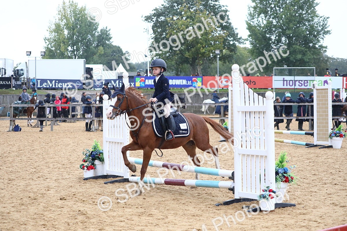 SBM_71557 - J4 - Mini Tour Junior Pony 45cm Championship