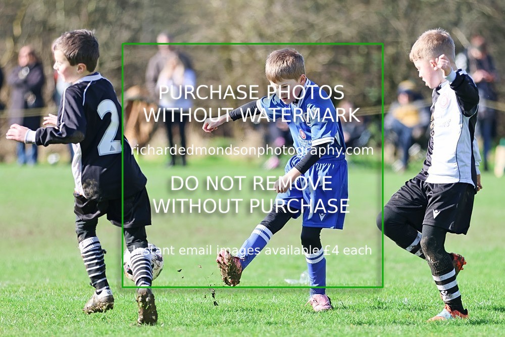 533A7897 - Ibis Under 8's (14/3/26)