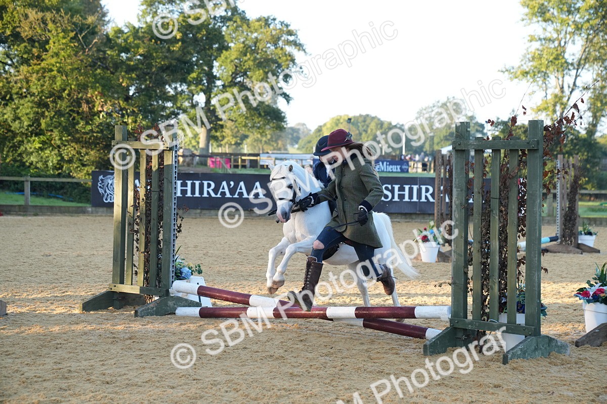 SBM_58845 - J63 - Minis Clear Round 30cm 40cm