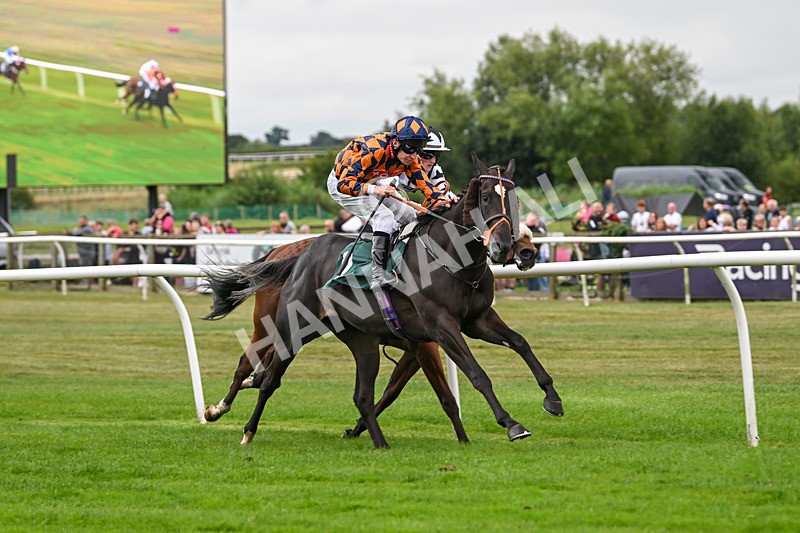 180825-Race 2-Demetrius-8354 - Race 2