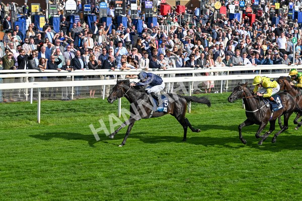 220825-Race 6-Frescobaldi-7770 - Race 6 4.45pm British Stallion Studs EBF Convivial Maiden Stakes