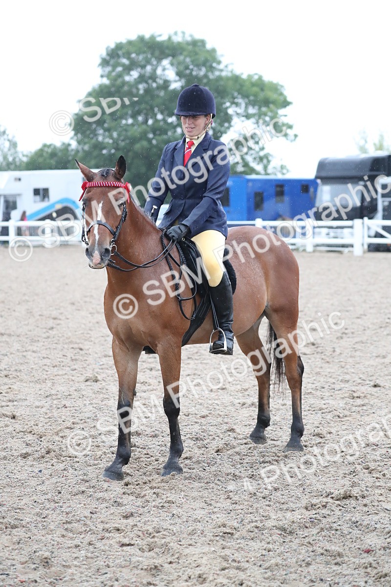 SBM_20467 - Class 601 - 2025 Area - Ridden Diamond