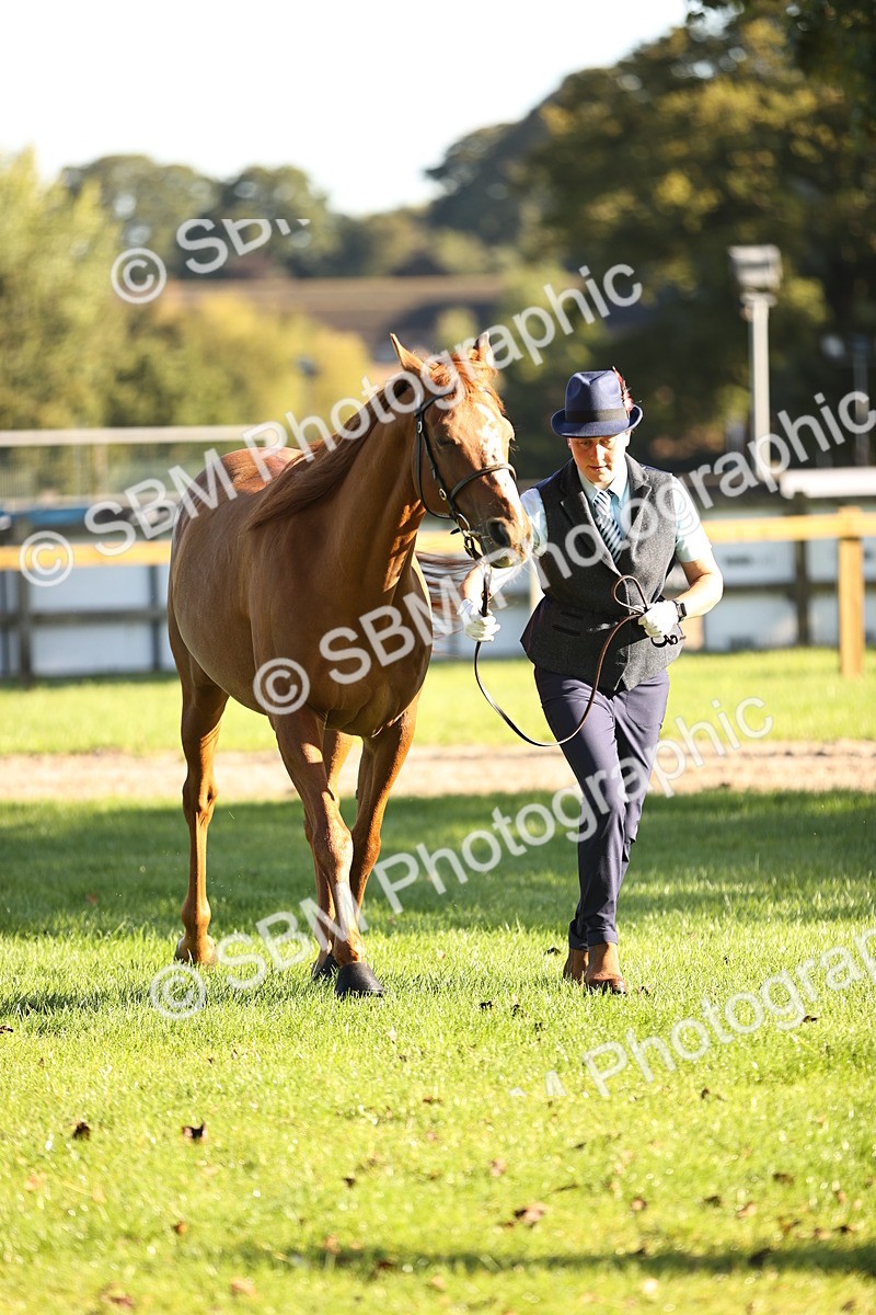 SBM_15739 - S1 - TSR in Hand Horse & Pony Showing