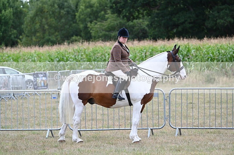 WJ7_5332 - Class 12 Ridden Cob