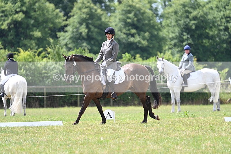 WJ7_4843 - Time 11:22 to 11:51