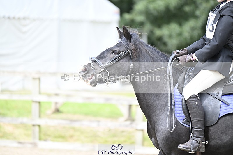 240823X-134953-17805 - 60cm R2 12.30 to 14.40 - All Photos