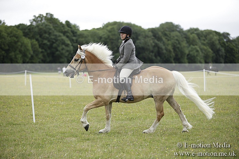 BVR160717-1532 - Ring 1 BVRC Show 16/07/17