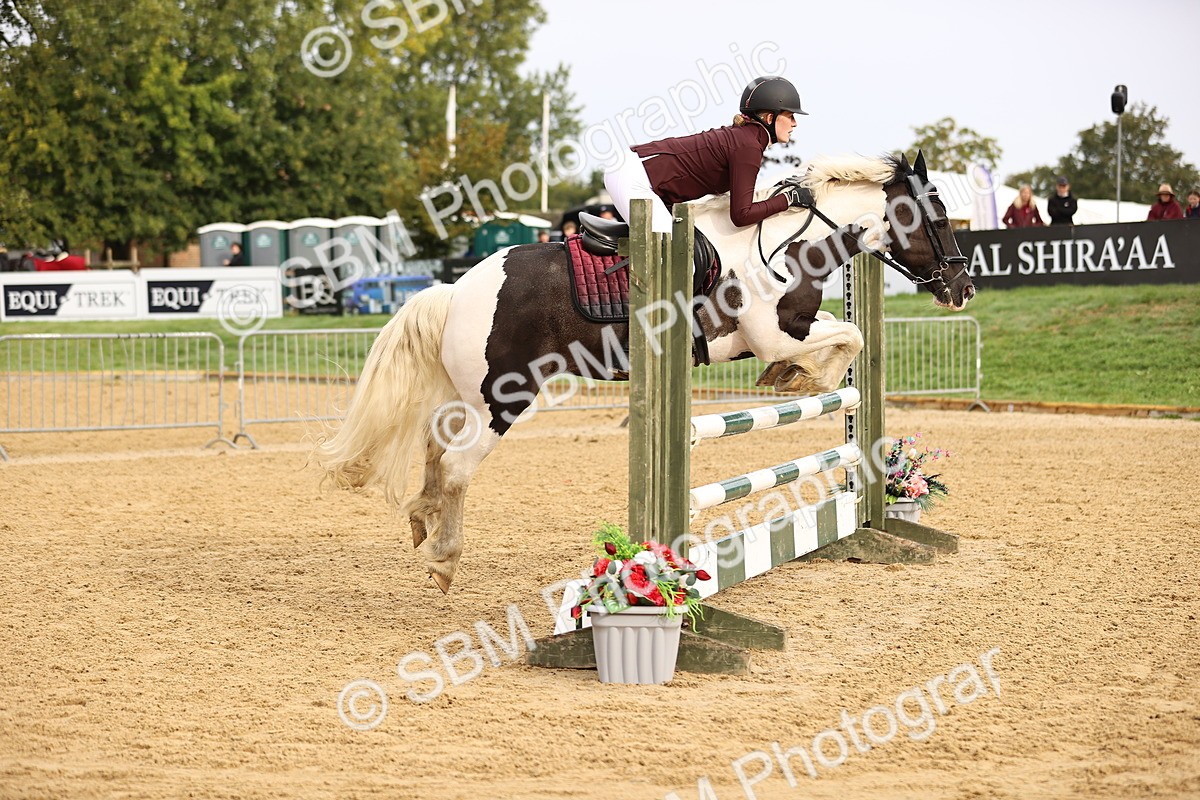 SBM_58223 - J41 - Grand Tour Horse & Pony 95cm