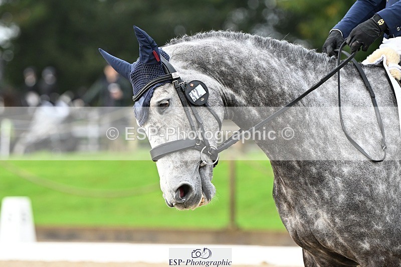 231019-103805-01629 - 032-COOLEY.ROCCO-Ben.Way-DR