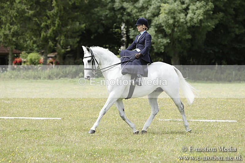 BVR160717-2047 - Class 4 & 5 Dressage 16/07/17