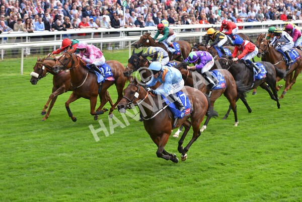 yr18082021r1-74 - Race 1 1.50pm Sky Bet & Symphony Group Stakes