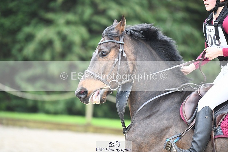 240317-113634-00814 - Cls 02 80 Jnr All