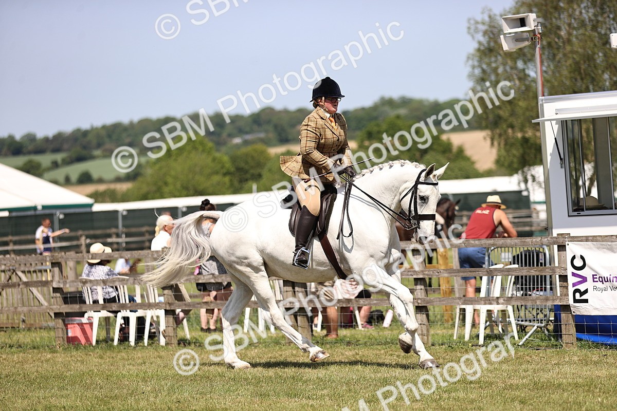 SBM_16227 - Class 79-80 - LIHS BSHA Rising Star Ridden Hunter