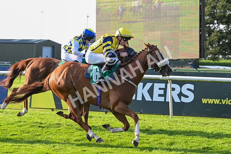 300824-Race 8-Captain Corelli-6673 - Race 8