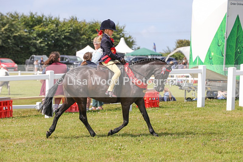 1X9A3855 - Plaited Mini Ridden Championship