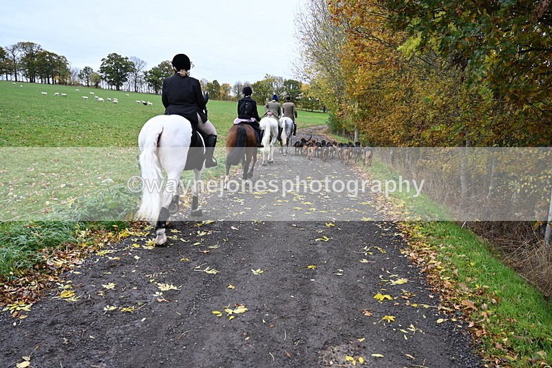 WJ6_9260 - Ride