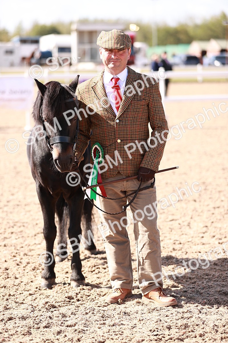 SBM_22838 - Class 705 - IH Combination 65+