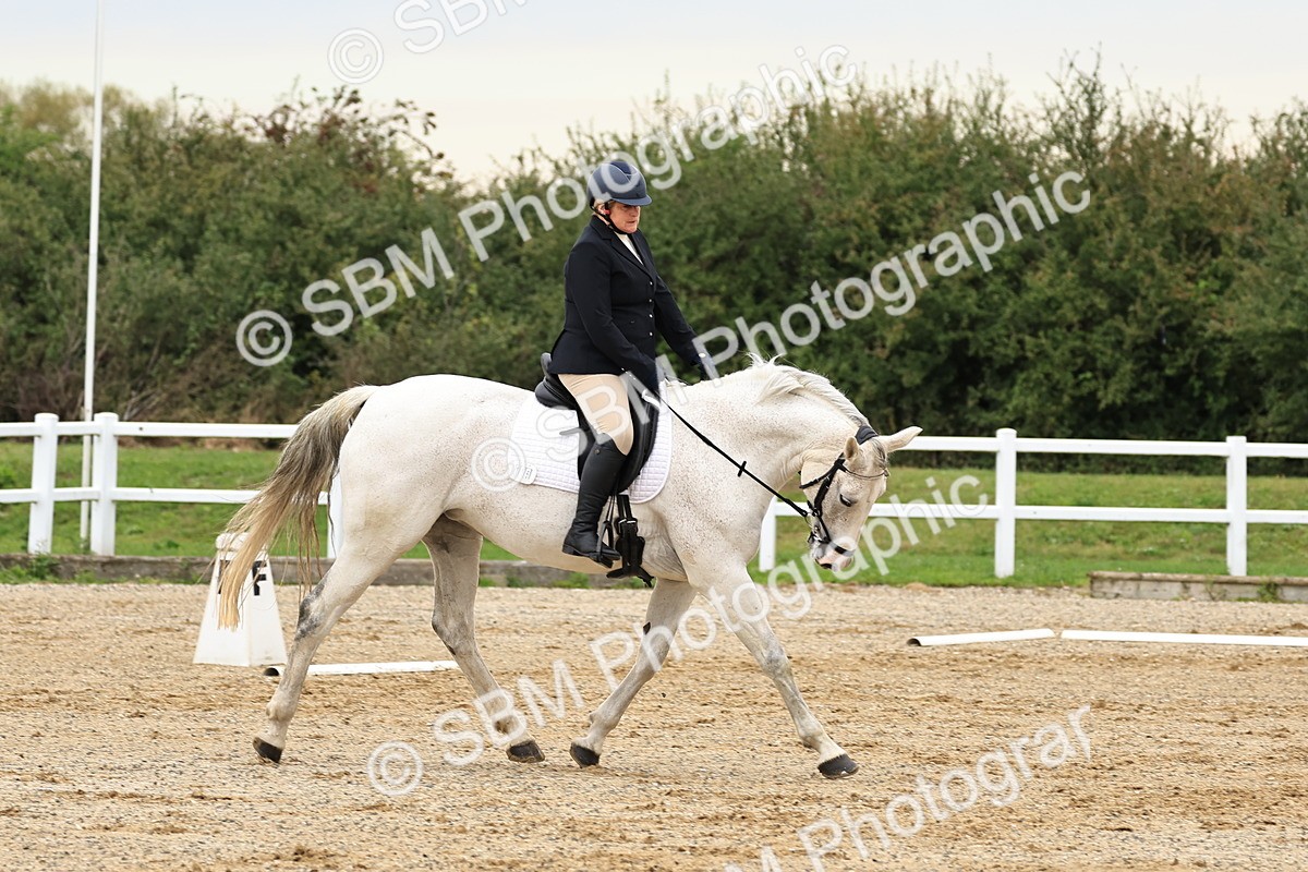 SBM_000233 - Prelim 2