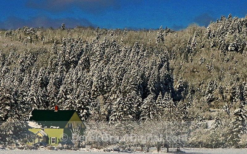 Winter Rural New Brunswick Canada