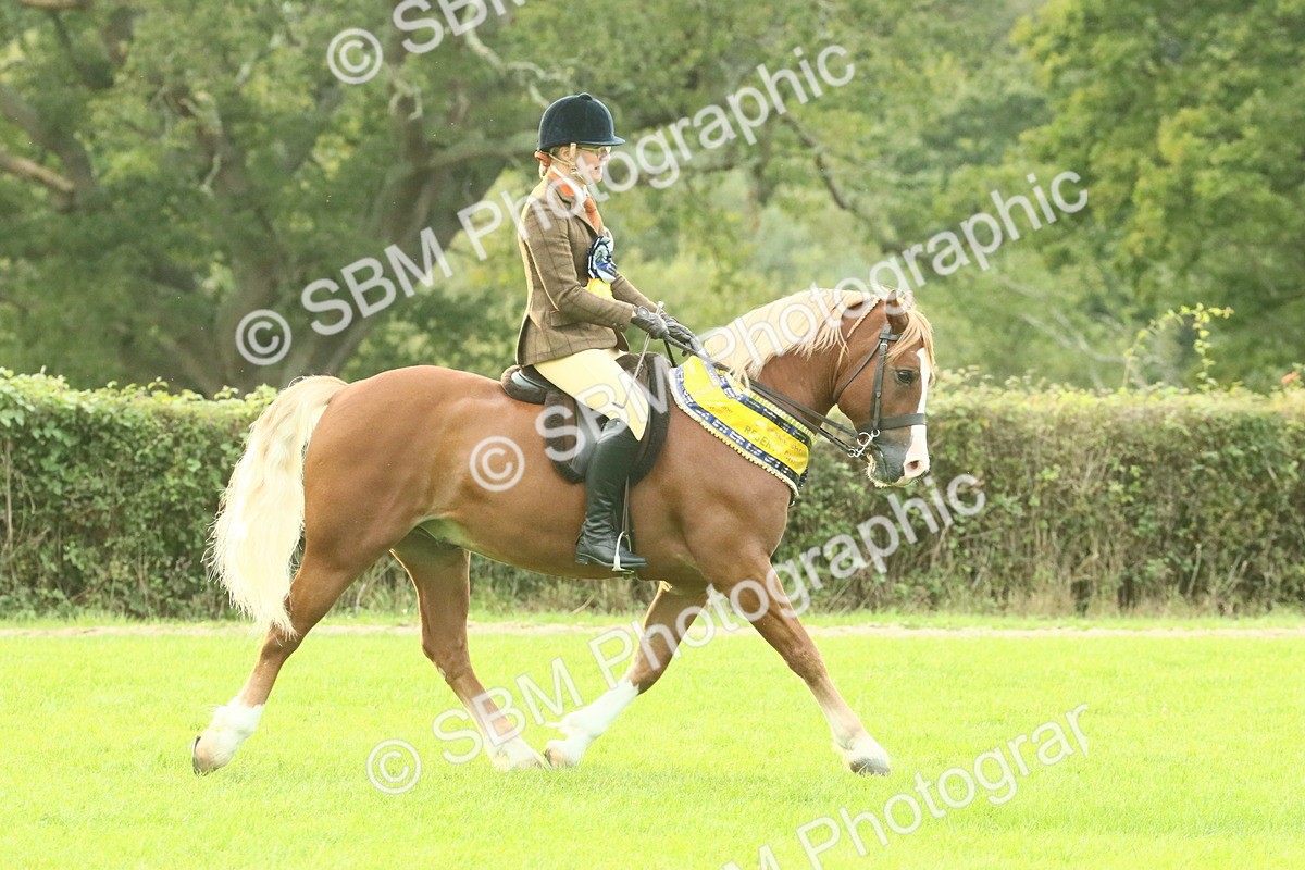 SBM_75340 - Super Supreme Championship