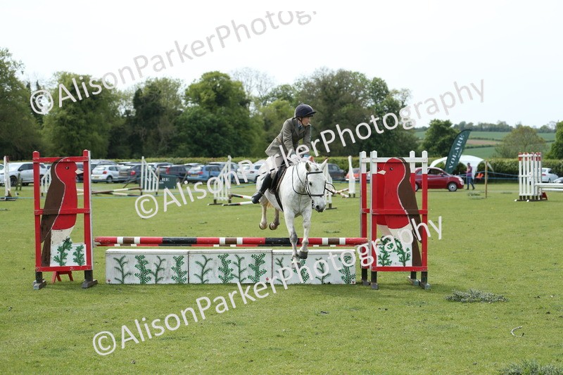 20260426-2106 - Class 15 - Absolute Novice 70cm