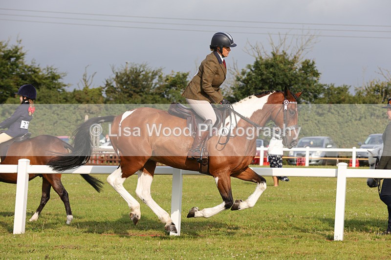 1X9A2909 - Class 25: Ridden Plaited Coloured Horse