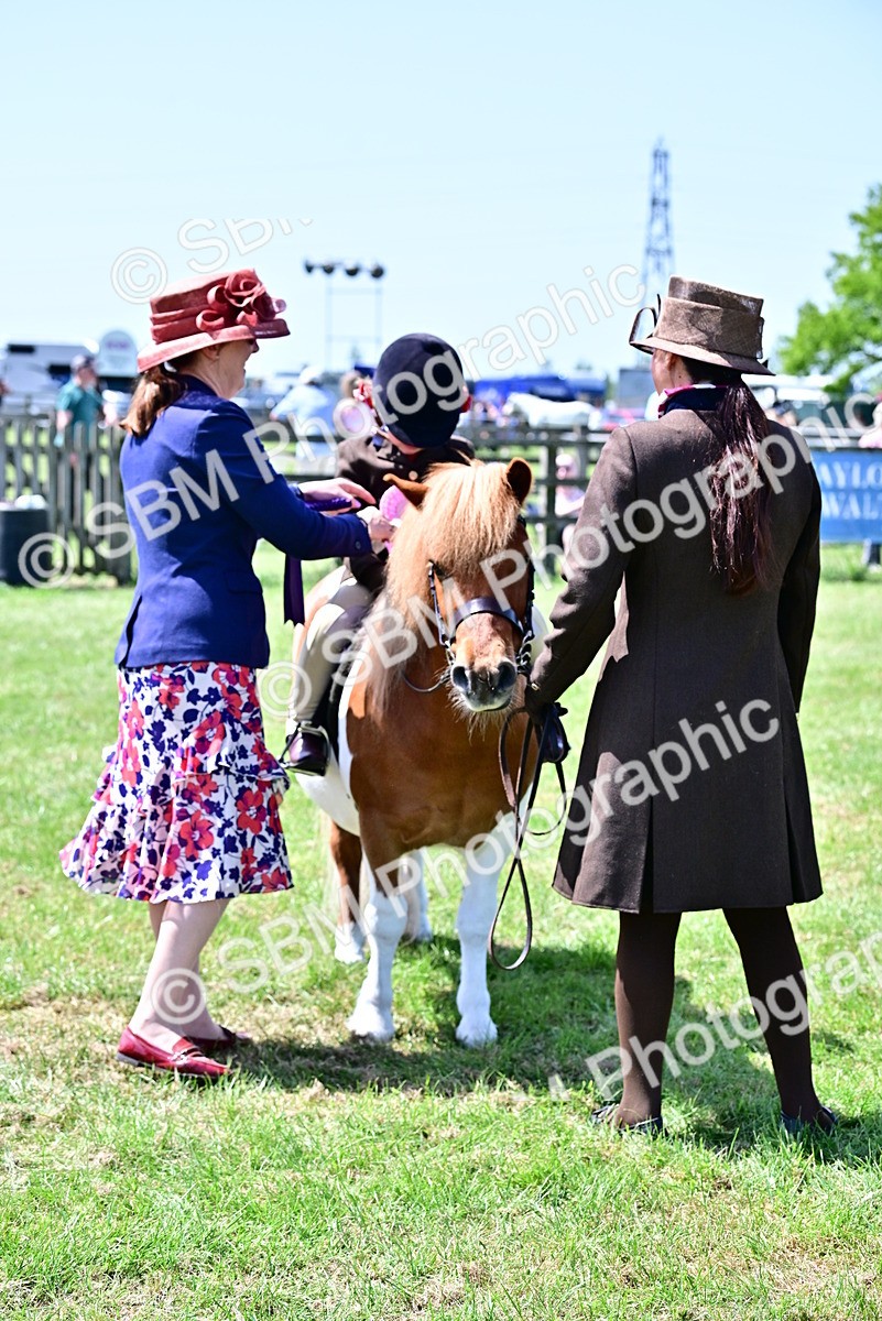 SBM_05968 - Class 59-60 - TSR M&M  Lear Rein and First Ridden Amateur of the year
