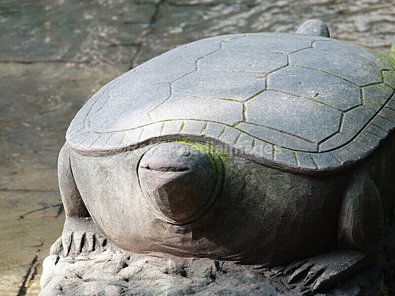 CHINA__0207 - China 2019