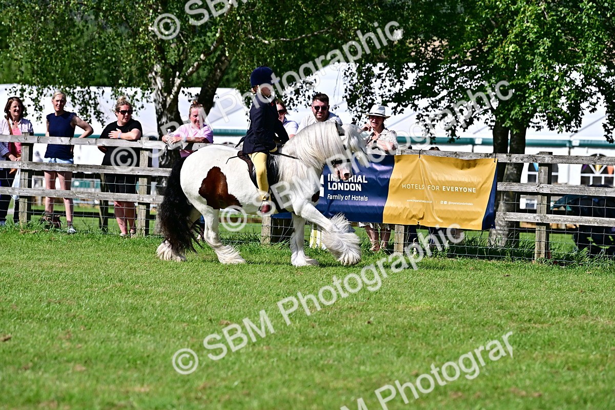 SBM_09404 - Class 63-65 - Traditional Gypsy Cobs In Hand & Ridden