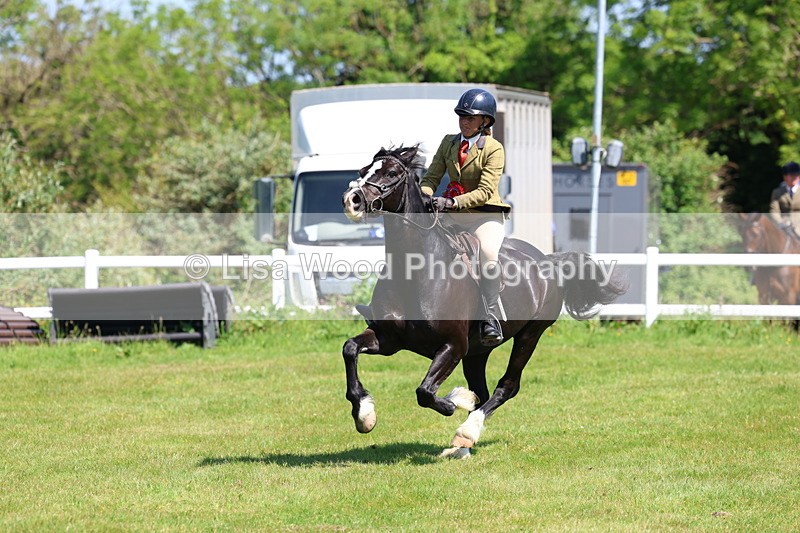3E7A6774 - Working Hunter Pony Championship