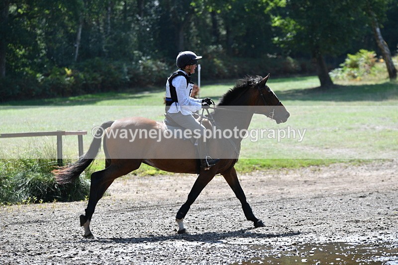 WJ5_3376 - XC Time 13:30 to 14:00