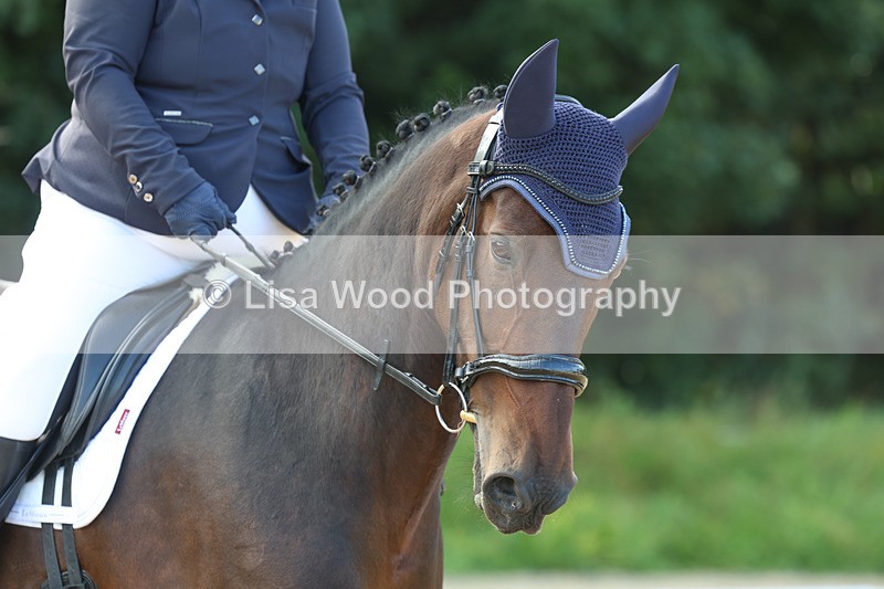 3E7A2047 - Class 1: Intro 4 2024 section A